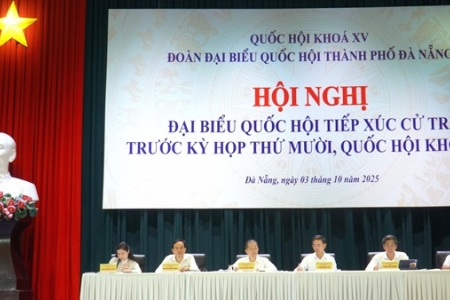 Chủ tịch UBND thành phố Đà Nẵng: Cần xử lý dứt điểm kiến nghị của cử tri