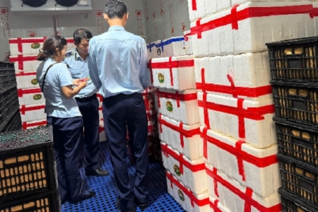 Gia Lai tạm giữ trên 2.500 kg quả tươi không rõ nguồn gốc, xuất xứ