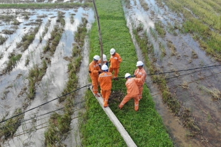 Ngành điện Nghệ An nỗ lực cán đích, sớm khôi phục toàn bộ lưới điện sau bão