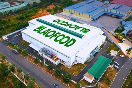 Công ty Việt tiên phong xuất khẩu rau củ đông lạnh lên kế hoạch niêm yết HOSE, giá cổ phiếu vượt đỉnh