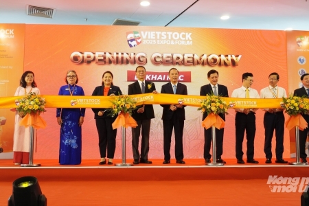 Khai mạc Vietstock 2025: Thúc đẩy tăng trưởng xanh và giá trị kinh tế ngành chăn nuôi