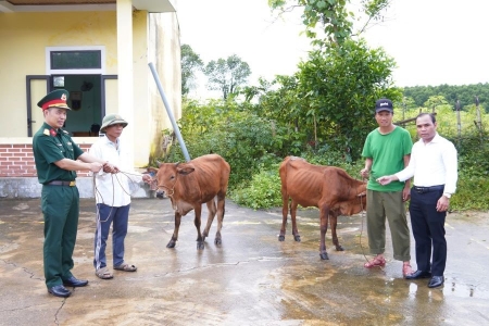 Quảng Trị: Trao tặng 29 con bò giống sinh sản cho hộ nghèo tại xã Kim Ngân