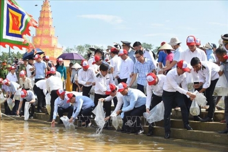 Hải Phòng thả 5 vạn cá giống tái tạo nguồn lợi thủy sản trên sông Lục Đầu