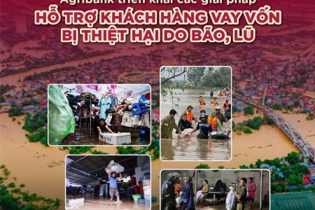 Agribank giảm tới 2%/năm lãi suất cho vay hỗ trợ khách hàng bị ảnh hưởng, thiệt hại do bão, lũ