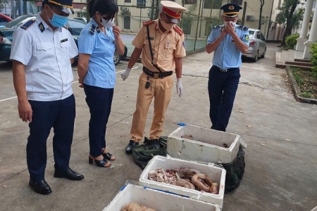 Phú Thọ: Phát hiện phương tiện vận tải chở theo hơn 1,5 tạ nội tạng bốc mùi