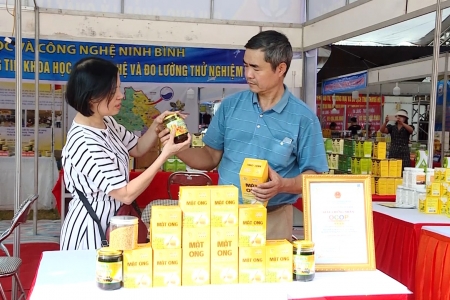 Ninh Bình triển khai xây dựng Chương trình xúc tiến thương mại giai đoạn 2026–2030