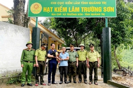 Quảng Trị: Tiếp nhận cá thể Hồng Hoàng quý hiếm để cứu hộ