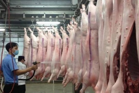 Tây Ninh tăng cường công tác quản lý hoạt động giết mổ và vệ sinh thú y