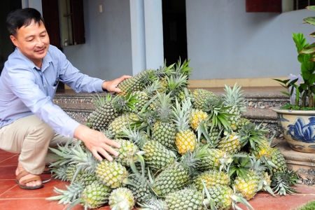 Bắc Ninh có 668 sản phẩm OCOP đạt 3 sao