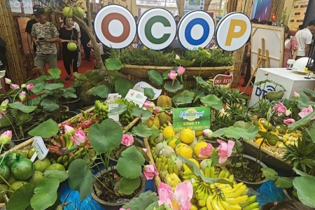 Thạch Thất tổ chức triển lãm quảng bá sản phẩm OCOP và làng nghề phục vụ du lịch