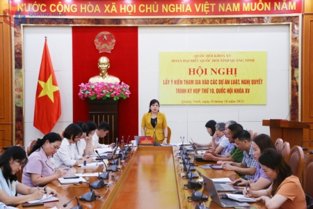 Đoàn ĐBQH tỉnh Quảng Ninh lấy ý kiến vào các dự án luật, nghị quyết trình Kỳ họp thứ 10 Quốc hội