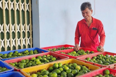 Tây Ninh hỗ trợ hợp tác xã sản xuất nông nghiệp tốt trong nông nghiệp, thủy sản