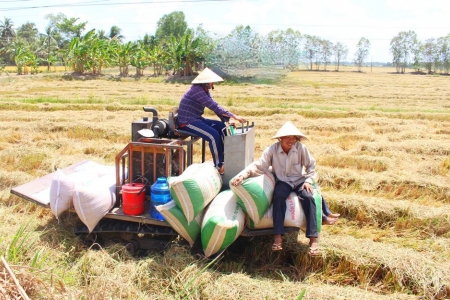 Vĩnh Long quyết tâm giảm nghèo đa chiều, bền vững trong năm 2025