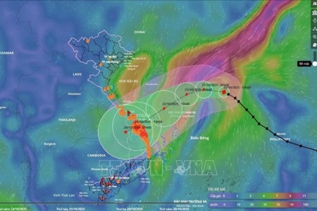 Bão số 12 dự kiến đổ bộ Đà Nẵng đến Quảng Ngãi, mưa lũ lớn trên diện rộng