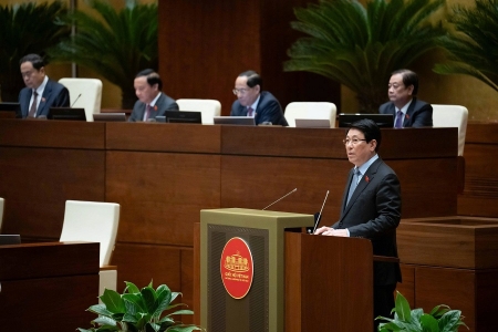 Tập trung xây dựng Đảng, phát triển đất nước nhanh và bền vững trong giai đoạn mới