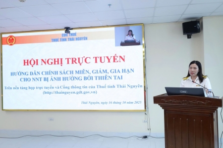 Thuế tỉnh Thái Nguyên hướng dẫn hỗ trợ người nộp thuế bị ảnh hưởng do bão