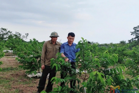 Quảng Ninh thành lập Trung tâm Khuyến nông và Quản lý bảo vệ, phát triển rừng