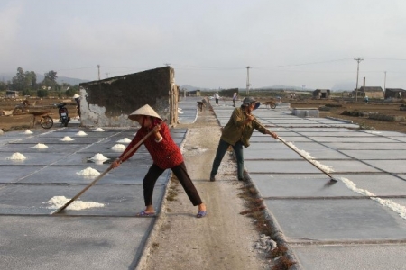 Phát huy tiềm năng nghề muối, Nghệ An hướng tới sản xuất bền vững gắn với du lịch