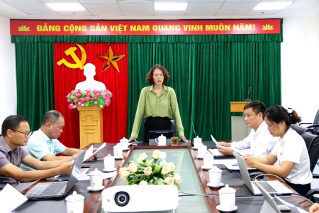 Giải Đua thuyền Rowing và Canoeing quốc gia năm 2025 sẽ diễn ra tại Hải Phòng