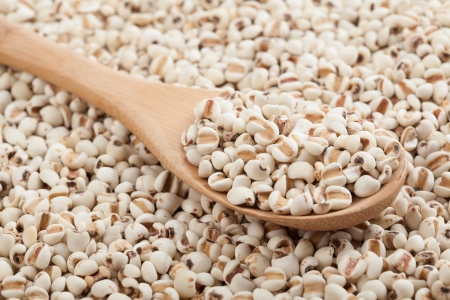 Thu hồi bắt buộc toàn bộ lô dược liệu ý dĩ không rõ nguồn gốc, kém chất lượng