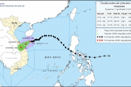 Thủ tướng chỉ đạo tập trung phòng, tránh, ứng phó mưa lũ, ngập lụt tại khu vực Trung Trung Bộ