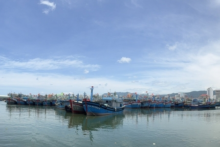 Cà Mau quyết liệt gỡ “thẻ vàng” IUU