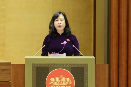 Dự thảo Luật Dân số: Hỗ trợ tài chính cho phụ nữ sinh đủ 2 con trước 35 tuổi, phụ nữ dân tộc thiểu số