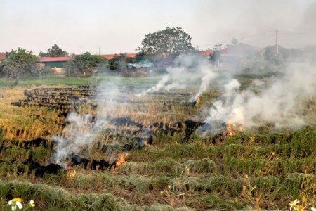 Xử lý hoạt động đốt phế phụ phẩm nông nghiệp ngoài trời gây ô nhiễm không khí
