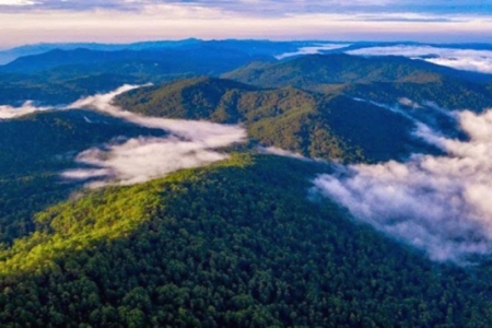 Lâm Đồng: Phê duyệt quy chế bảo vệ Khu dự trữ sinh quyển thế giới