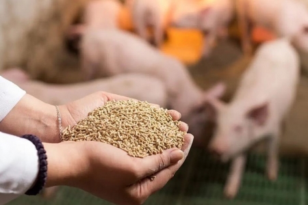 Gỡ vướng thuế giá trị gia tăng cho nông nghiệp và thức ăn chăn nuôi