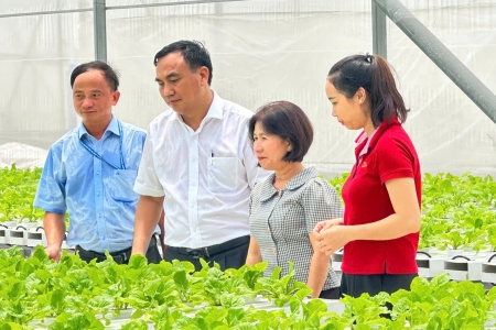 TP. HCM: Đẩy mạnh phát triển nông nghiệp công nghệ cao, hướng tới nền nông nghiệp hiện đại và bền vững