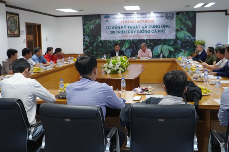 Hoàng Anh Gia Lai (HAG) hợp tác với WASI phát triển 30 triệu cây giống cà phê năng suất vượt trội