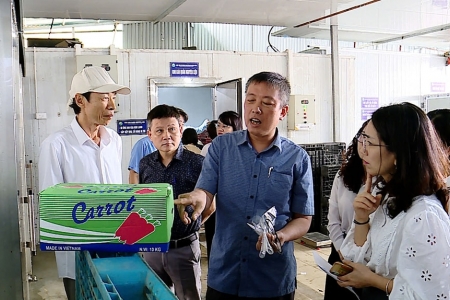 Hà Nội: 1.220/1.309 mẫu nông, lâm, thủy sản đạt chuẩn an toàn thực phẩm