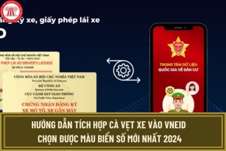 Quên "Cà-vẹt xe" không còn lo bị phạt: Hướng dẫn xuất trình Giấy đăng ký phương tiện qua VNeTraffic