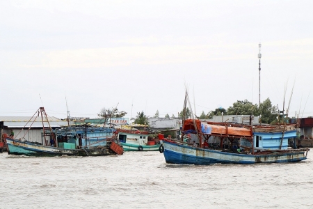Cà Mau chỉ đạo đẩy nhanh tiến độ đăng ký tàu cá và cấp giấy phép khai thác thủy sản