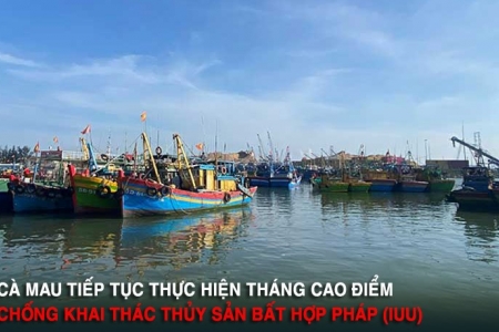 Cà Mau tiếp tục triển khai Tháng cao điểm chống khai thác thủy sản bất hợp pháp