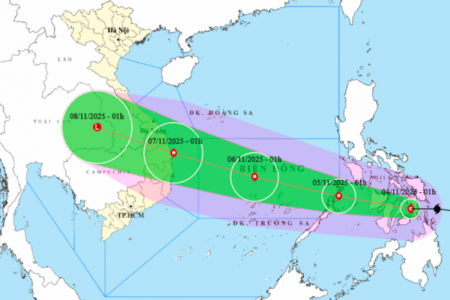TP. HCM chủ động ứng phó với bão Kalmaegi