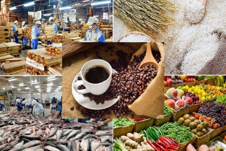 Cà phê, rau quả và thủy sản – ba mũi nhọn dẫn dắt xuất khẩu nông sản Việt Nam