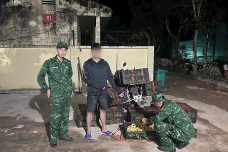 Bộ đội Biên phòng Quảng Ninh bắt giữ đối tượng vận chuyển trái phép 1.800 con ngan giống