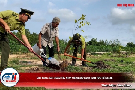 Tây Ninh vượt chỉ tiêu thực hiện Đề án ‘Trồng một tỷ cây xanh giai đoạn 2021 – 2025’