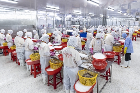 Công nghiệp An Giang bứt phá, xuất khẩu đạt 1,8 tỷ USD trong 10 tháng