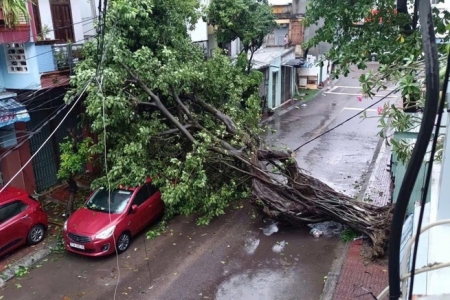 Ứng phó bão số 13, Gia Lai cấm các tuyến đường nguy hiểm từ 17h hôm nay