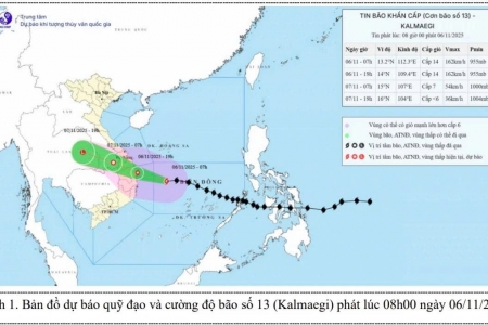 Bão số 13 giật cấp 17, cách Quy Nhơn khoảng 310 km