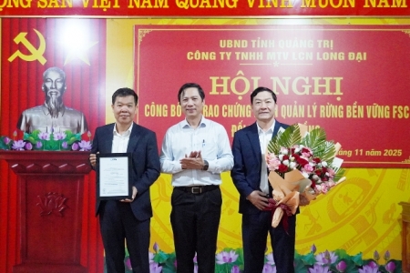 Công ty Lâm công nghiệp Long Đại đạt chứng nhận quốc tế về quản lý rừng trồng bền vững