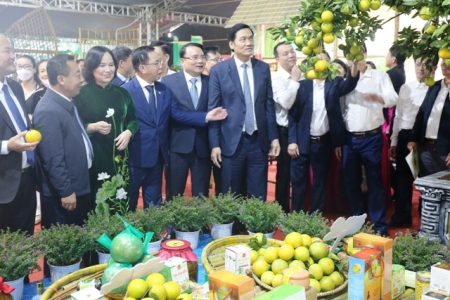Nghệ An quảng bá nông sản đặc trưng, mở rộng cầu nối giao thương trong nước và quốc tế