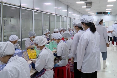 Ninh Bình tăng cường bảo đảm an toàn thực phẩm học đường và bếp ăn tập thể