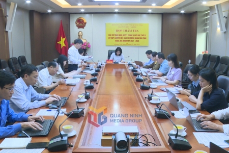 Quảng Ninh thẩm tra các dự thảo nghị quyết trình Kỳ họp 33, HĐND tỉnh khóa XIV