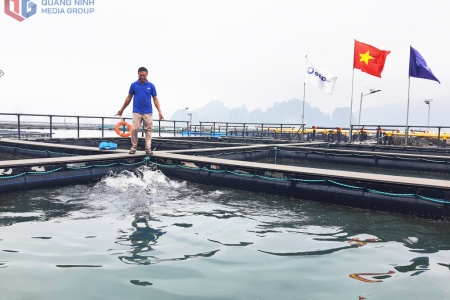 Quảng Ninh hướng tới ứng dụng AI trong xử phạt vi phạm lĩnh vực thuỷ sản