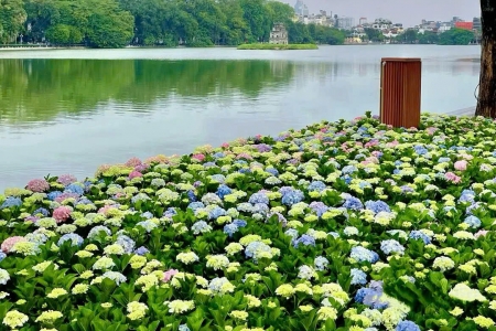 Thời tiết ngày 12/11: Hà Nội hửng nắng, Nam Bộ mưa dông rải rác