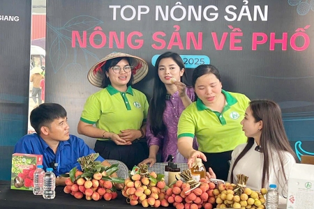 Bắc Ninh hưởng ứng Tuần lễ thương mại điện tử quốc gia và Ngày mua sắm trực tuyến Việt Nam 2025